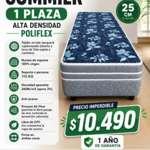 Sommier 1 plaza alta densidad poliflex