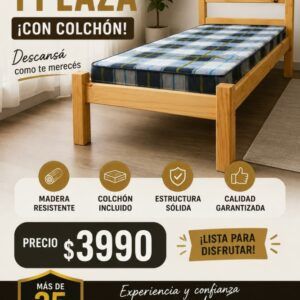 Cama 1 plaza de madera + colchón